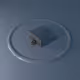 CIRCLE