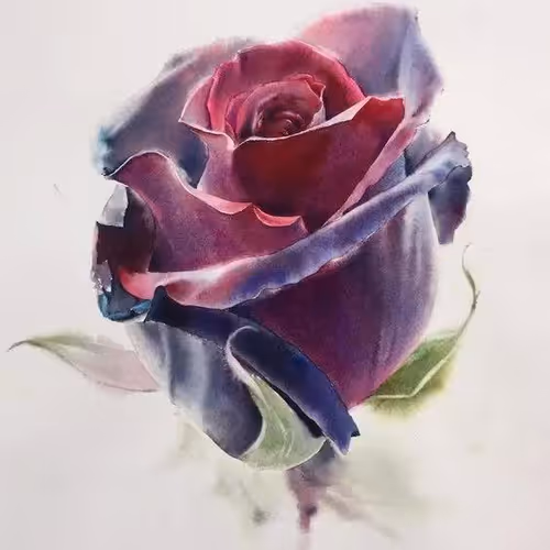 rse