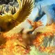 Phenix Series