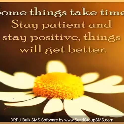 0x31b01a1e6c848aaac60059e41a0a9eaf0634a540