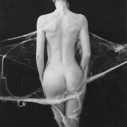 shades of nudity