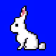 white rabbit genesis
