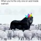Acid Walmart