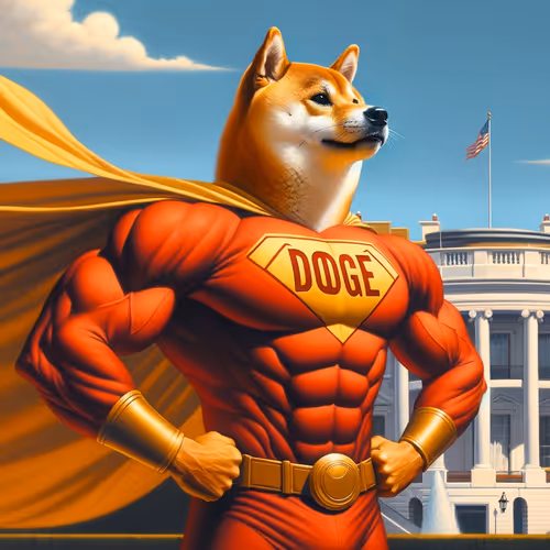 Doge Super Hero At The White House.