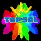 TOPSOL ON BASE GALLERY