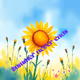 summer never ends
