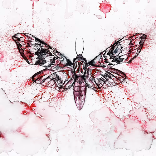butter+fly