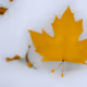 November