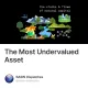 The Most Undervalued Asset