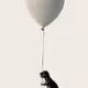 sky the limit