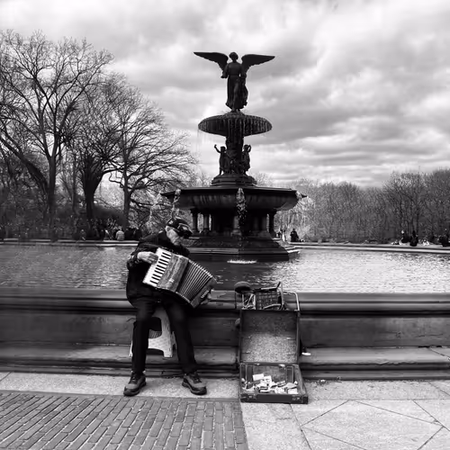 the photography collection