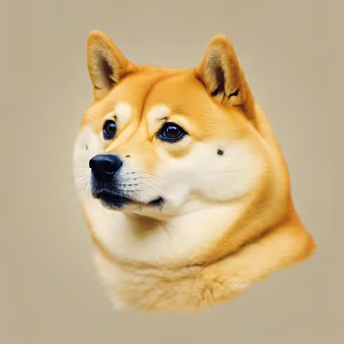 DOGE V2