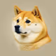 DOGE V2