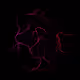 Illuminescence by Perk