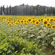 Toscana