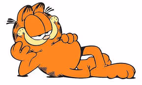 kitty