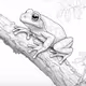 Base Frog