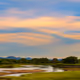 Mongolian Steppe