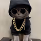 ThugCat Party