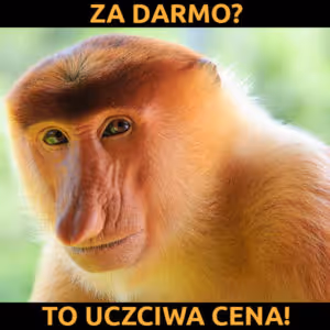 Rose darmo to uczciwa cena