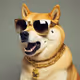 foky dog