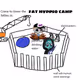 HYPPIO FATTY CAMP - NOW HYPERICADO ON HL