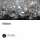 vision