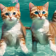 catart