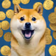 Doge ATH