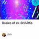 Basics of zk-SNARKs
