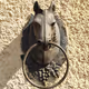 Iron Horse Doorknob