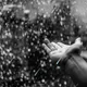 The Rain