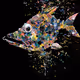 Fish Head NFT Collection