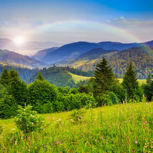 Nature