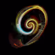 FASCINATING SPIRAL ON A BLACK BACKGROUND
