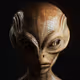 Galactic Leaders B'R'O'W'N REPTILIAN