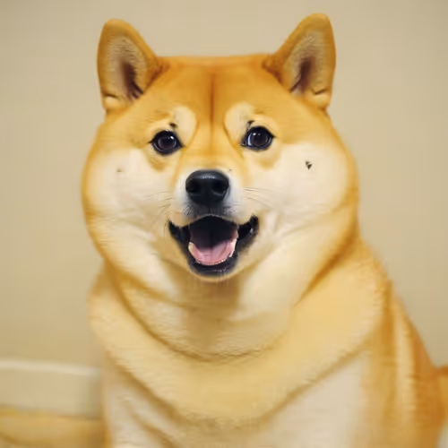 Dogekoko