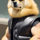 Doge Celebrities
