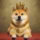 sayar dog