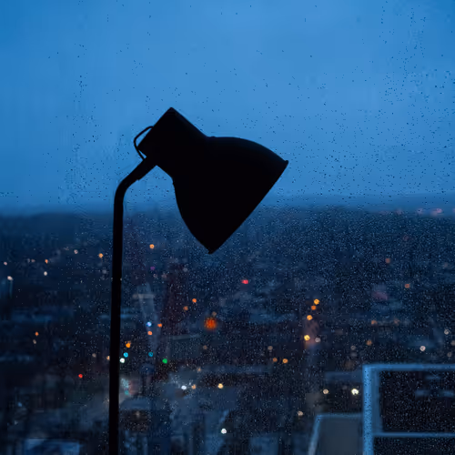 From my window