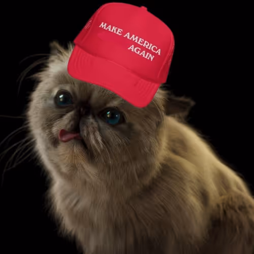 Mister MAGA