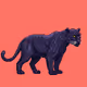 Zoo V1