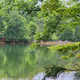 Mirrored Natural Symmetry