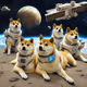 space colony doge
