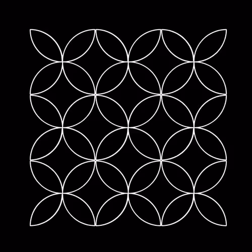 FRACTALS [LIMITED EDITION]