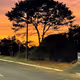Por-do-sol
