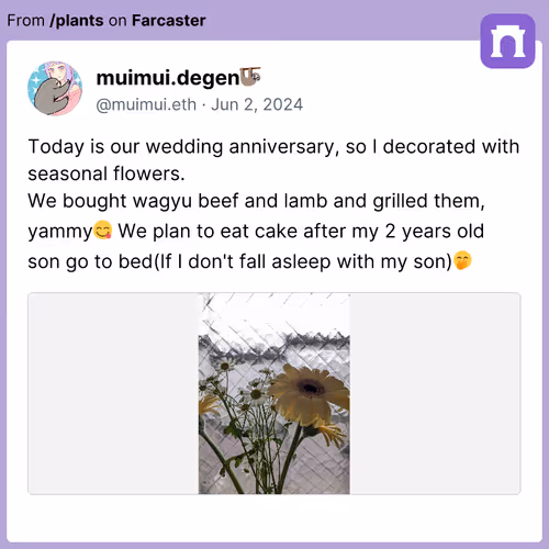 muimui.degen🦥's Degencast