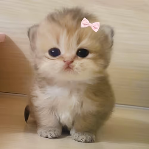 #1