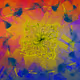 Creative Abstract