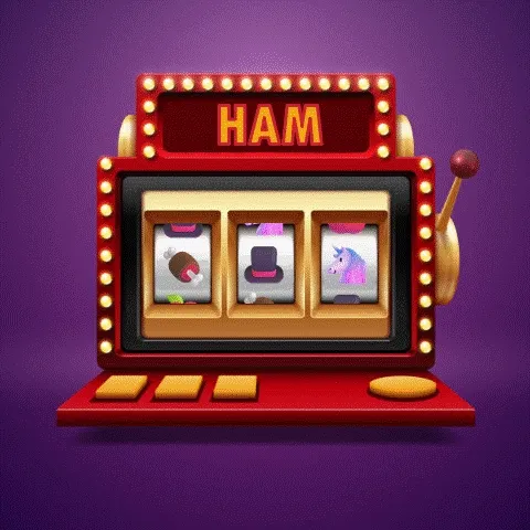 HAM